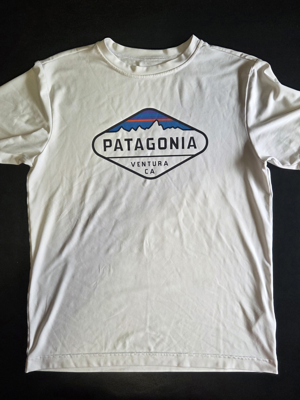Patagonia White Graphic Logo Crew Neck T-Shirt